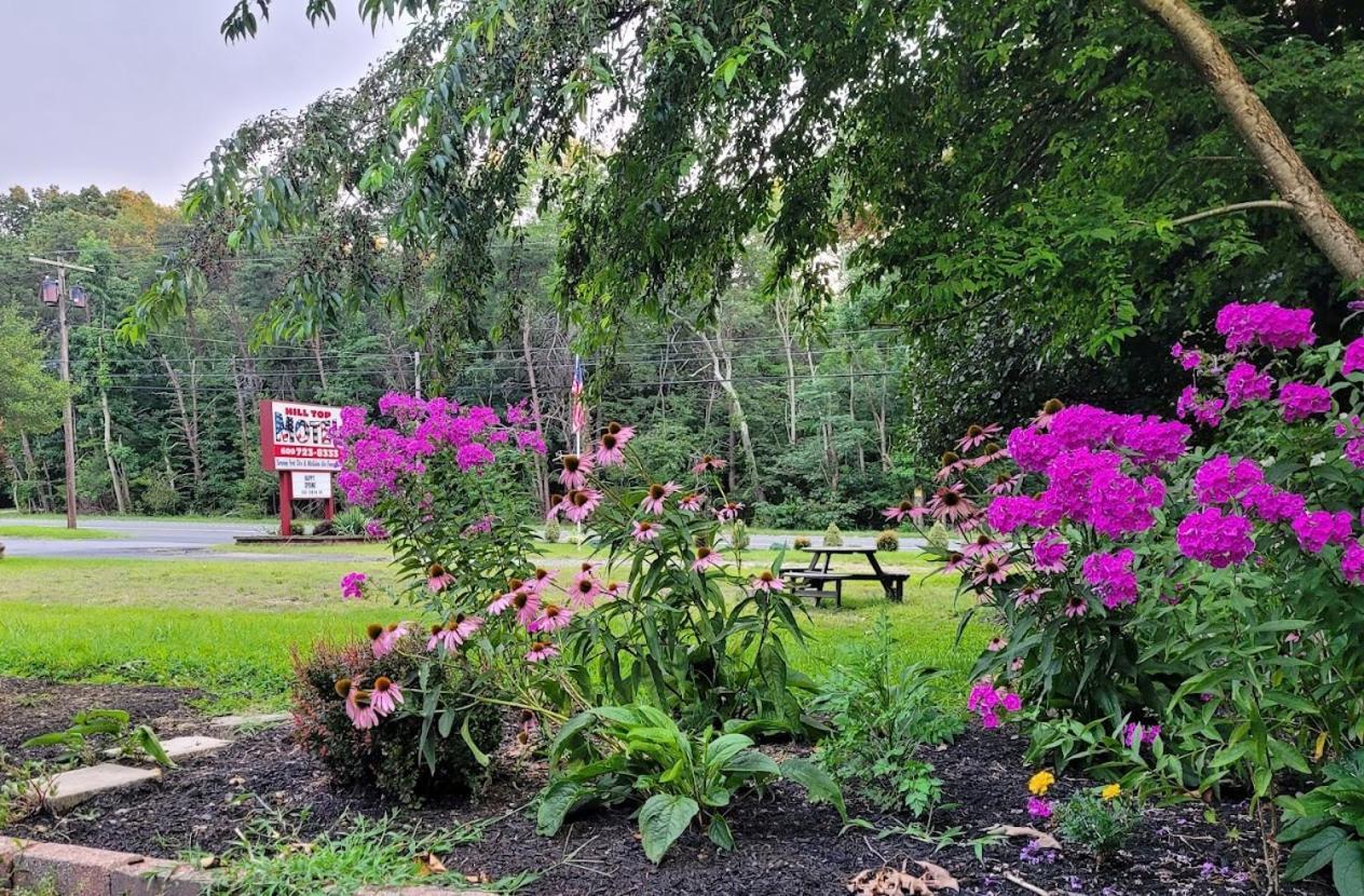 Hill Top Motel Wrightstown Екстер'єр фото